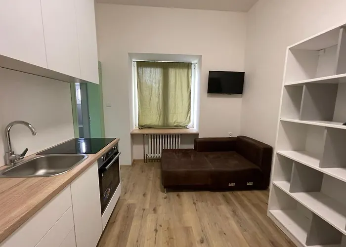 Red&Black Apartment City Centr, Na Hradbach 118